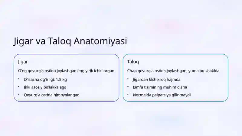 Jigar va Taloq Anatomiyasi 2