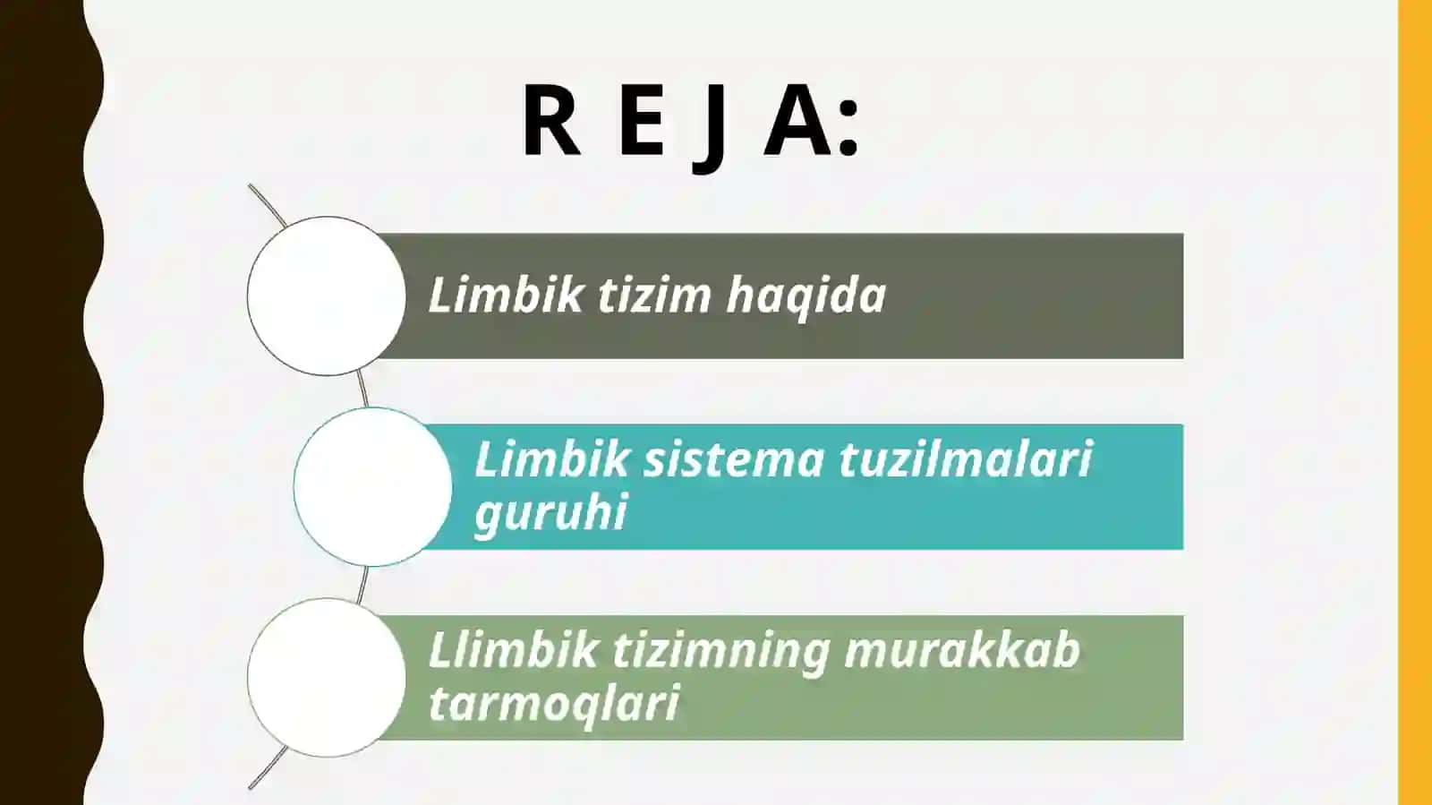 Limbik tizimi va uning genezi 2