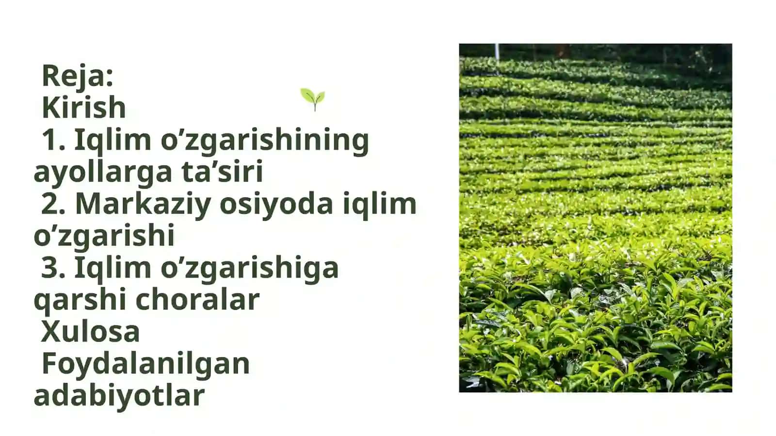 Iqlim o‘zgarishi va uning oqibatlari 2