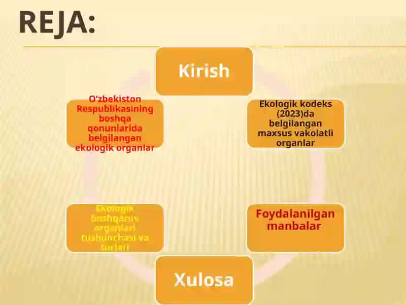 EKOLOGIYA SOXASIDA MAXSUS VAKOLATLI DAVLAT BOSHQARUV ORGANLARI VA ULARNING VAZIFALARI 2