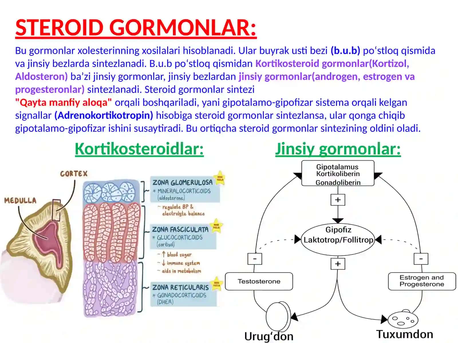 ENDOKRIN SISTEMASI BIOKIMYOSI-2: STEROID VA TIREOID GORMONLAR 2