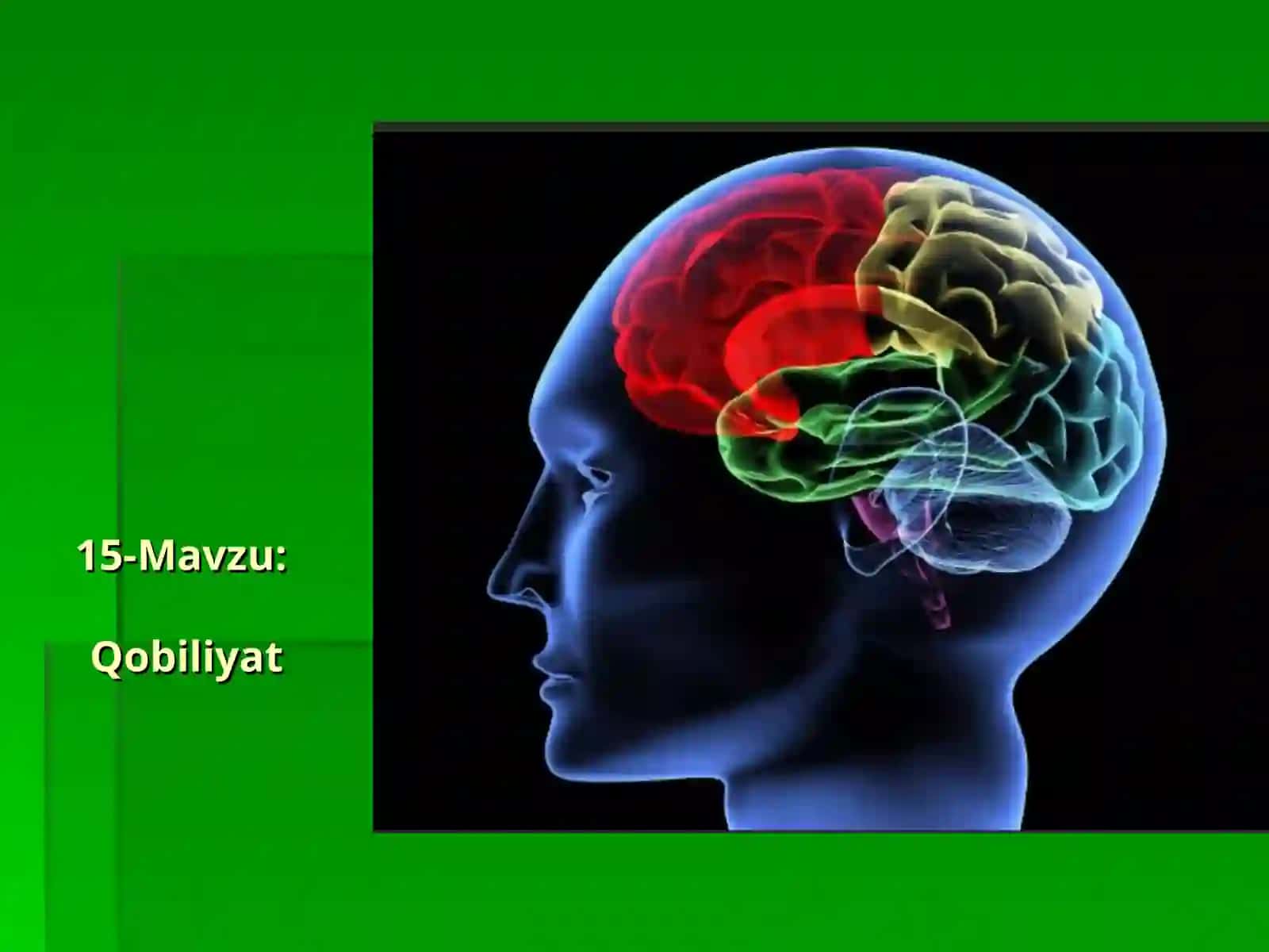 Qobiliyat 2