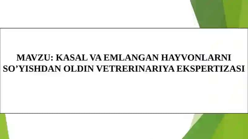 VETERINARIYA EKSPERTIZASI 2