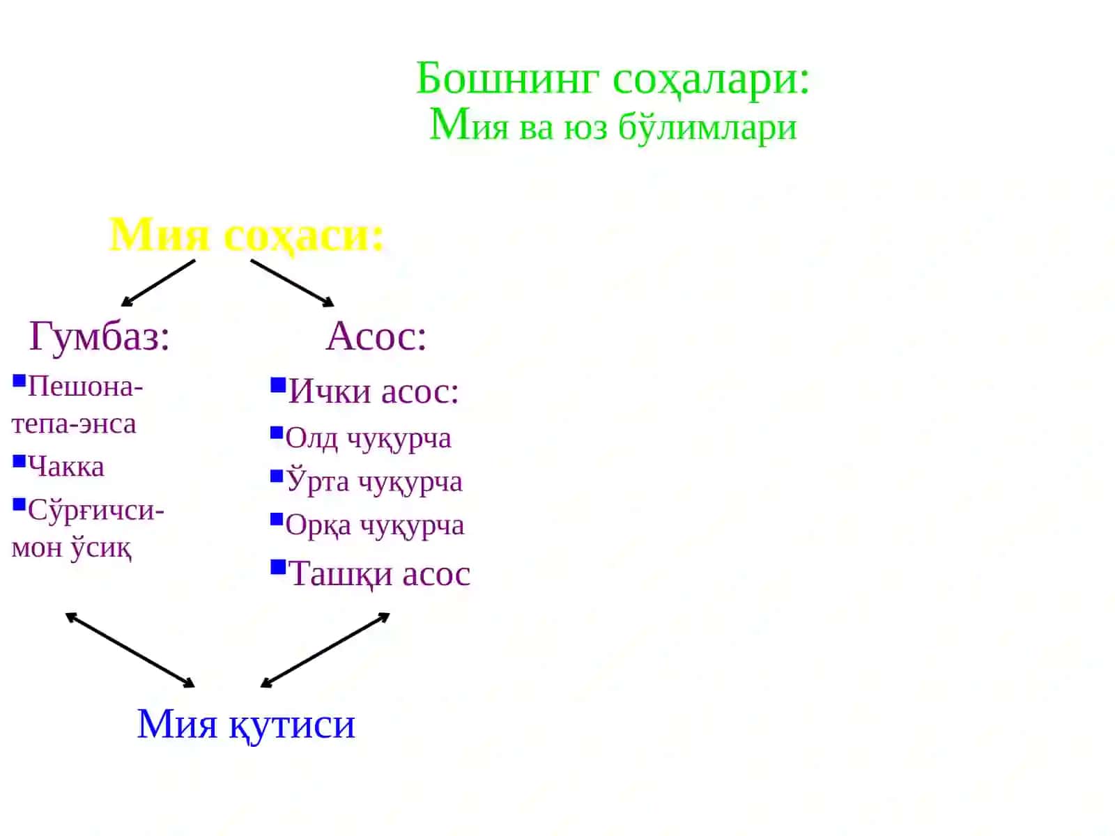 КАЛЛА ВА БОШ МИЯНИНГ ЖАРРОҲЛИК АНАТОМИЯСИ 2