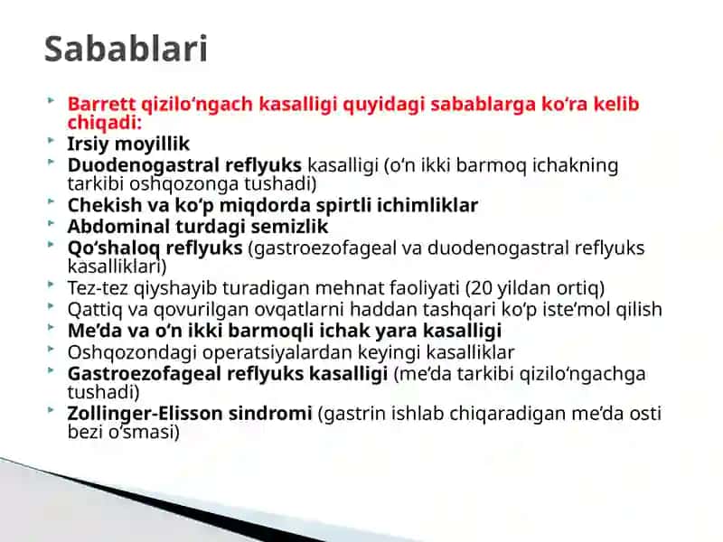 Barrett qizilo‘ngachi 2