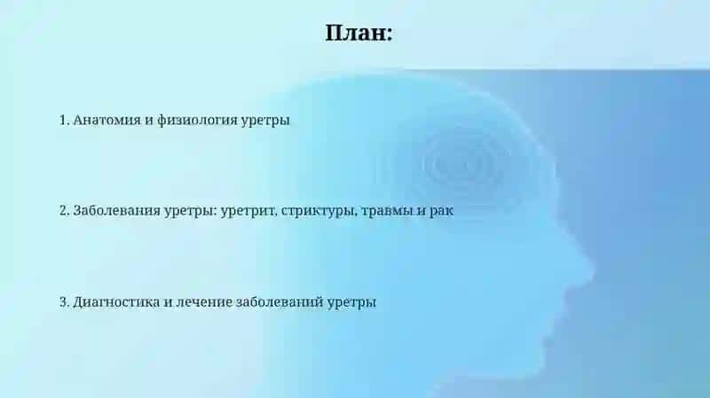 Мочеиспускательныйканал 2