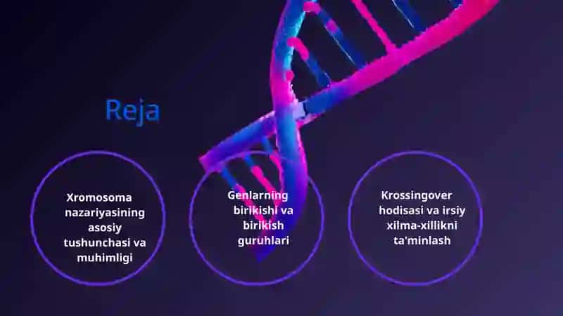 Xromosoma Nazariyasi 2