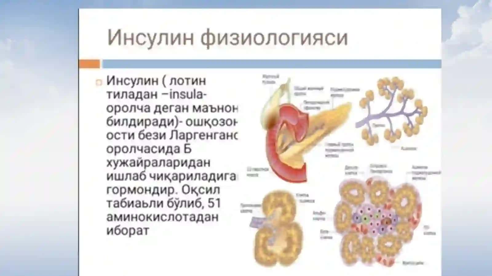 Инсулинотерапия 2
