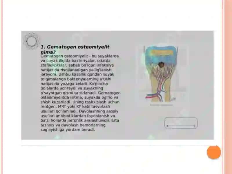 Gematogen osteomielit 2
