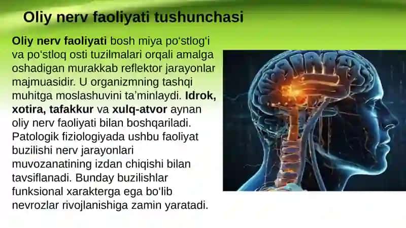 Oliy nerv faoliyati buzilishi. Nevrozlar 2