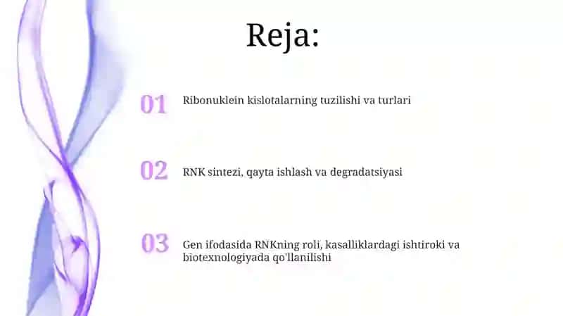 Ribonuklein kislotalar 2