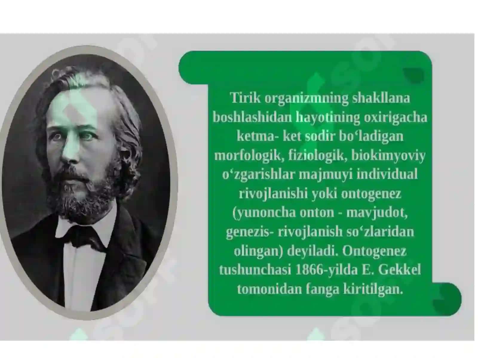 Individual rivojlanishning umumiy qonuniyatlari 2