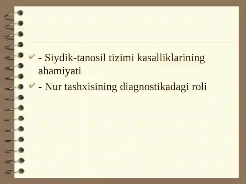 Siydik ajratuvchi yo‘llar va jinsiy a’zolar kasalliklarining nur tashxisi 2