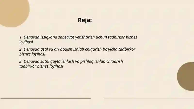 Denov tadbirkor biznes loyiha 2