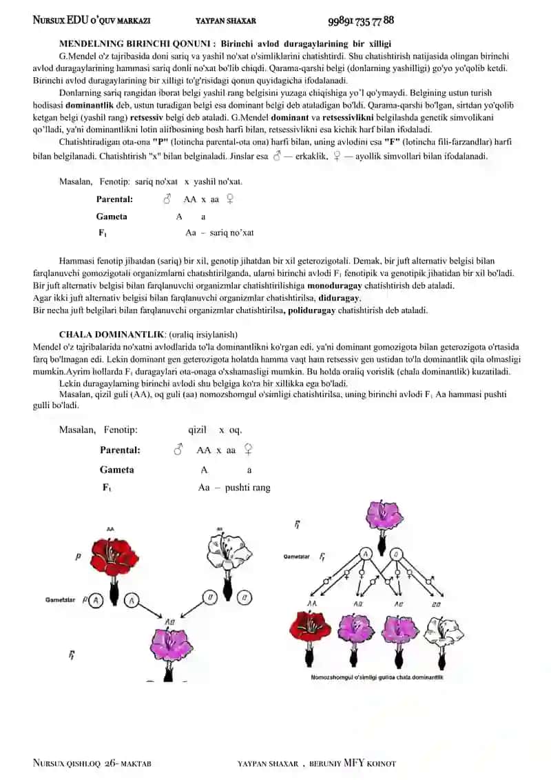 GENETIKA 2