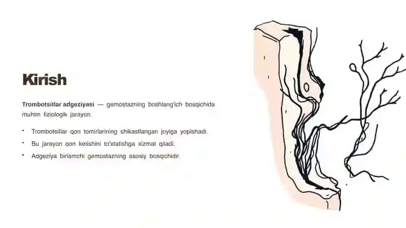 Trombotsitlar adgeziyasi 2