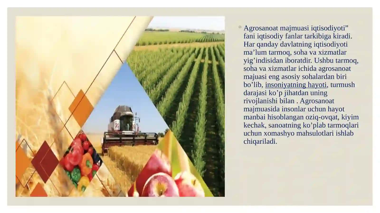 Agrosanoat majmuasi iqtisodiyoti 2