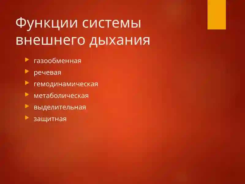 Патофизиология ситемы внешнего дыхания 2
