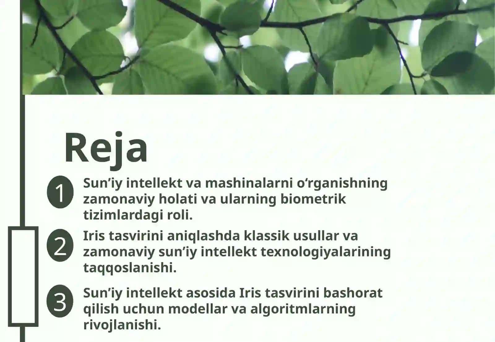 Sun’iy intellekt va Iris tasvirini aniqlash texnologiyalarining nazariy asoslari 2