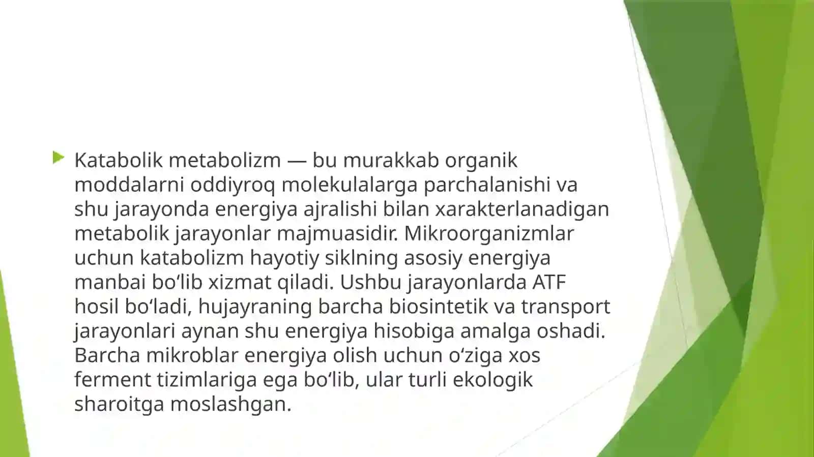 Katabolikmetabolizm 2
