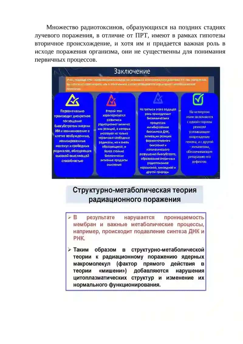 Структурно-метаболическая гипотеза 2