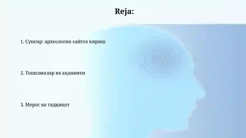 Sungi paleolit arxeologik yodgorliklari 2