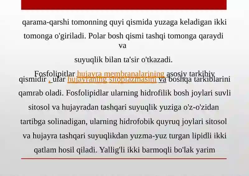 Fosfolipidlar 2