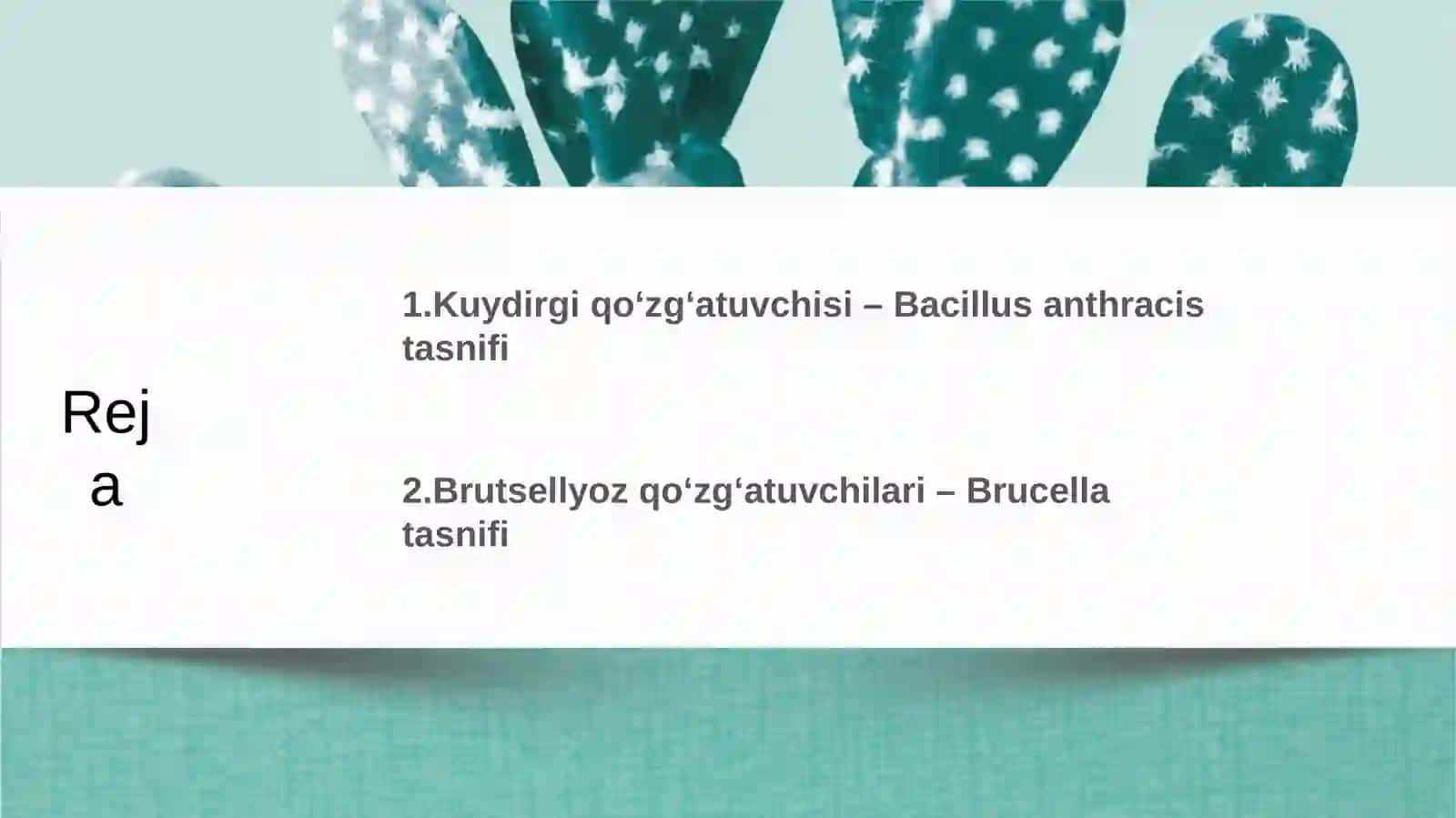 Oʻta xavfli infeksiya kuydirgi va brutsellyoz tasnifi 2