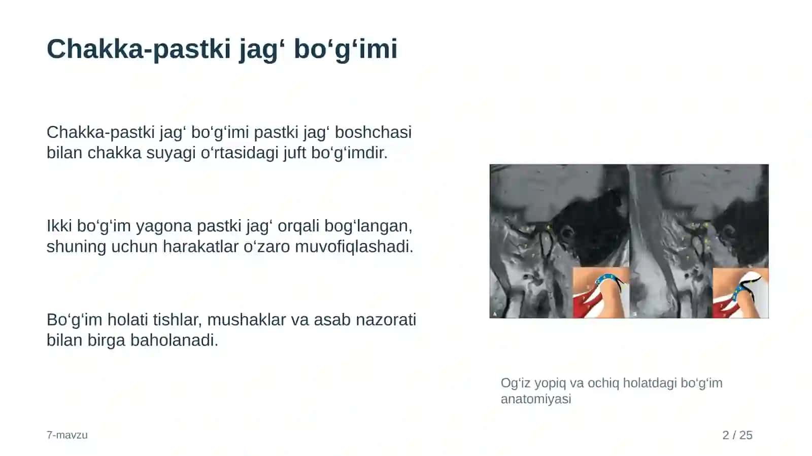 Chakka-pastki jag‘ biodinamikasi va chaynash 2