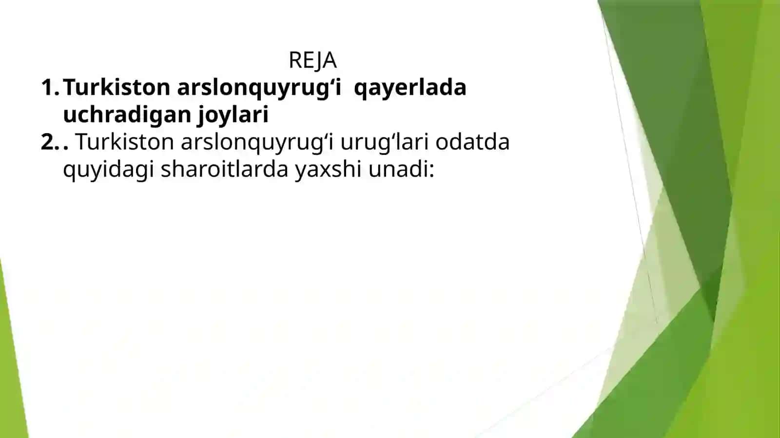 Turkiston Arslonquyrug`ining O`simligini va Urig`chiligi 2