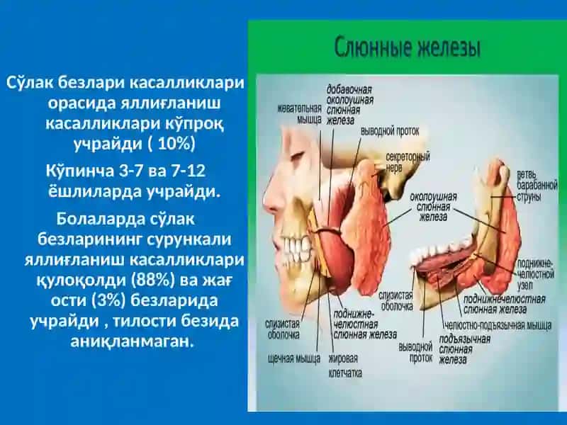 БОЛАЛАРДА СЎЛАК БЕЗЛАРИ ЯЛЛИҒЛАНИШ КАСАЛЛИКЛАРИ 2