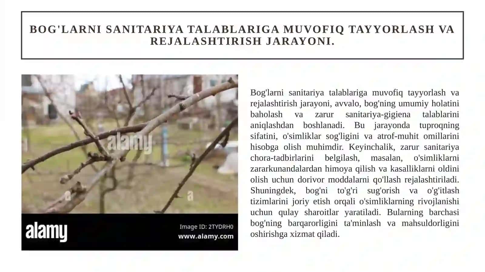 Bog'larda sanitar kesish usullari. 2