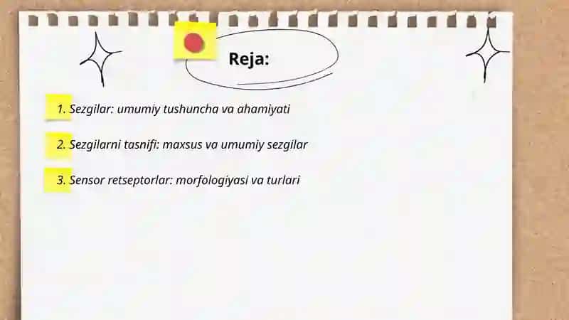 Sezgilar haqida umumiy tushuncha va uning nerv-fizilogik asoslar 2
