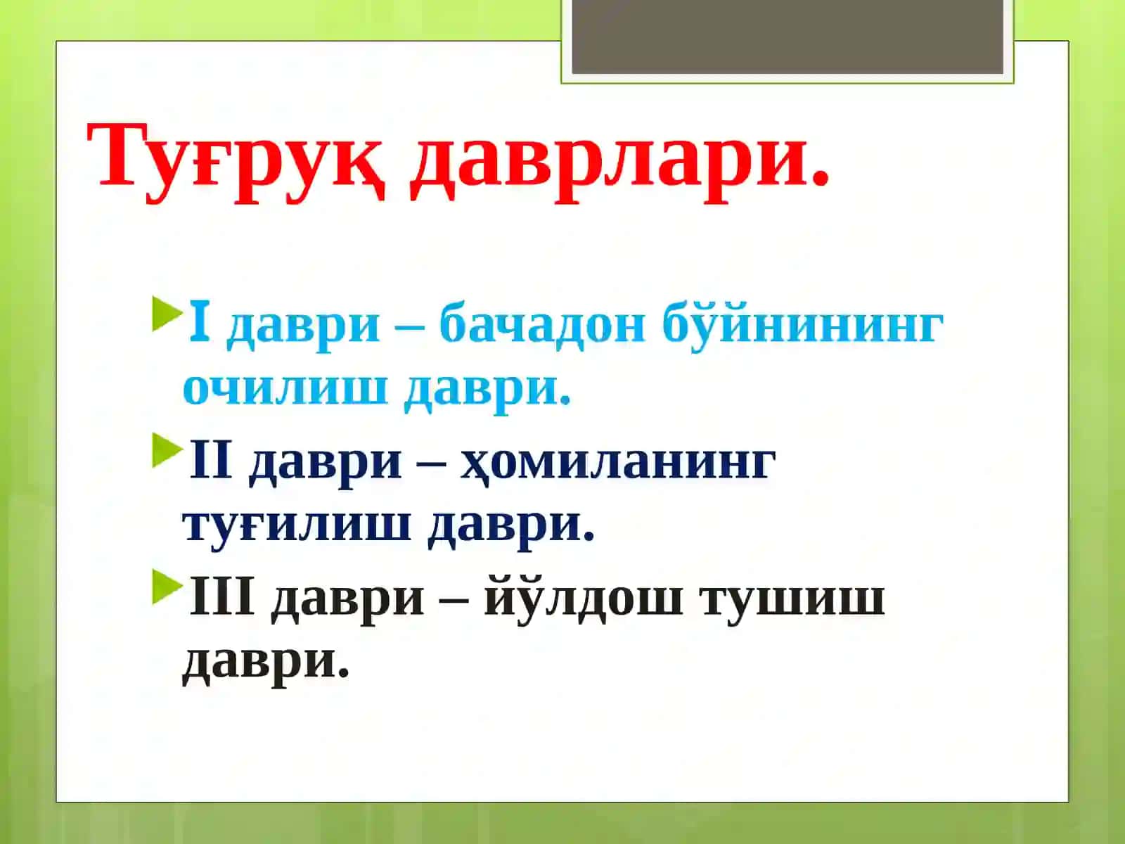 Туғруқдаврлари 2