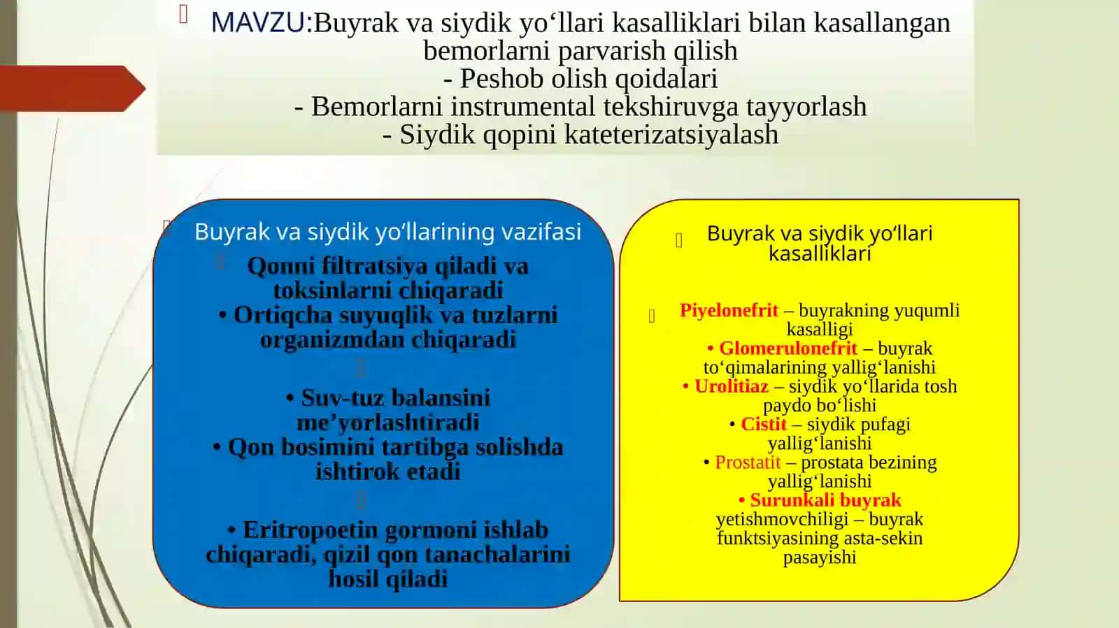 Buyrak va Siydik Yo‘llari Kasalliklari 2