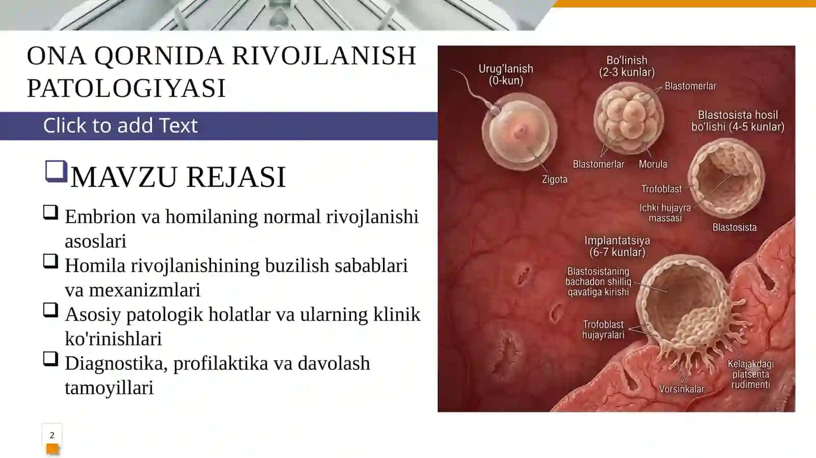 ONA QORNIDA RIVOJLANISH PATOLOGIYASI PREZENTATSIYA 2