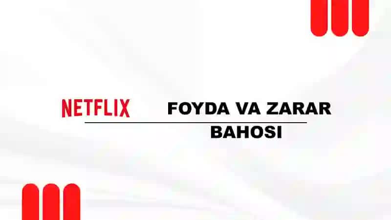 Netflix foyda va zarar bahosi || Taqdimot 2