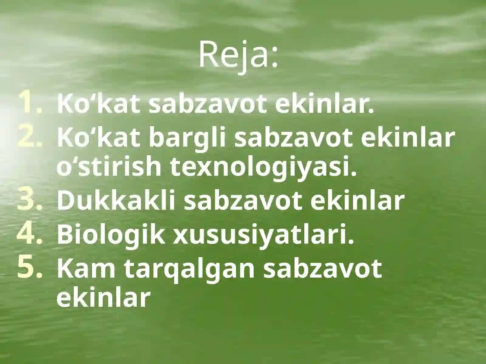 Ko‘kat va dukkakli sabzavotlarni yetishtirish texnologiyasi 2