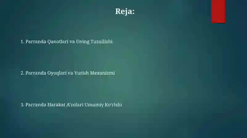 Parrandalarning harakat organlari 2
