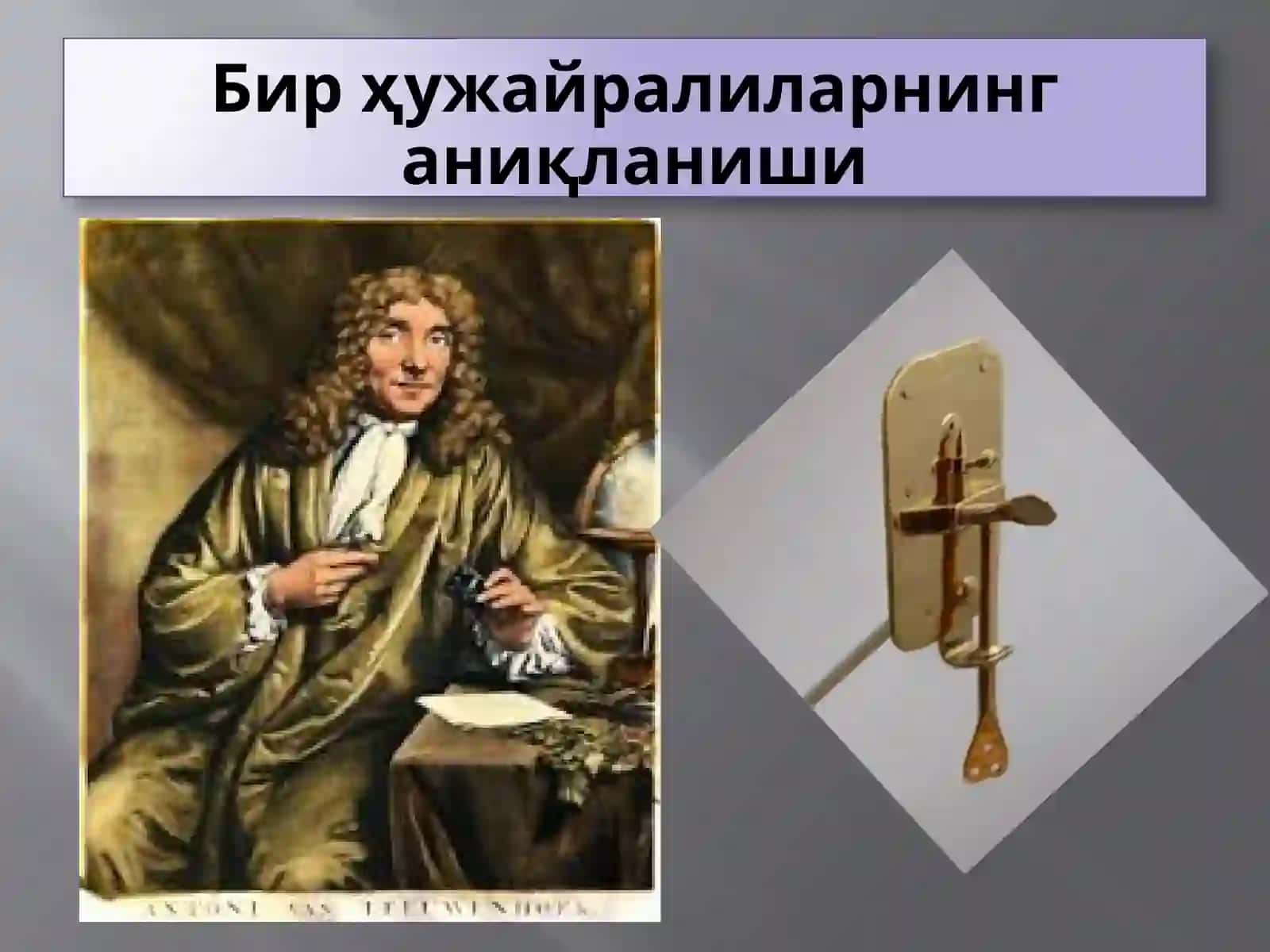 Protozoa кенжа дунёси 2