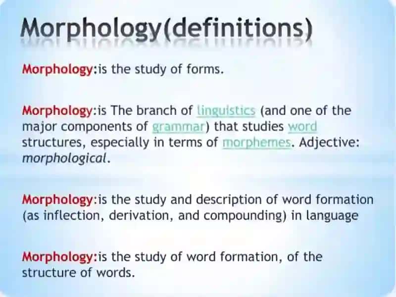 Morphology 2