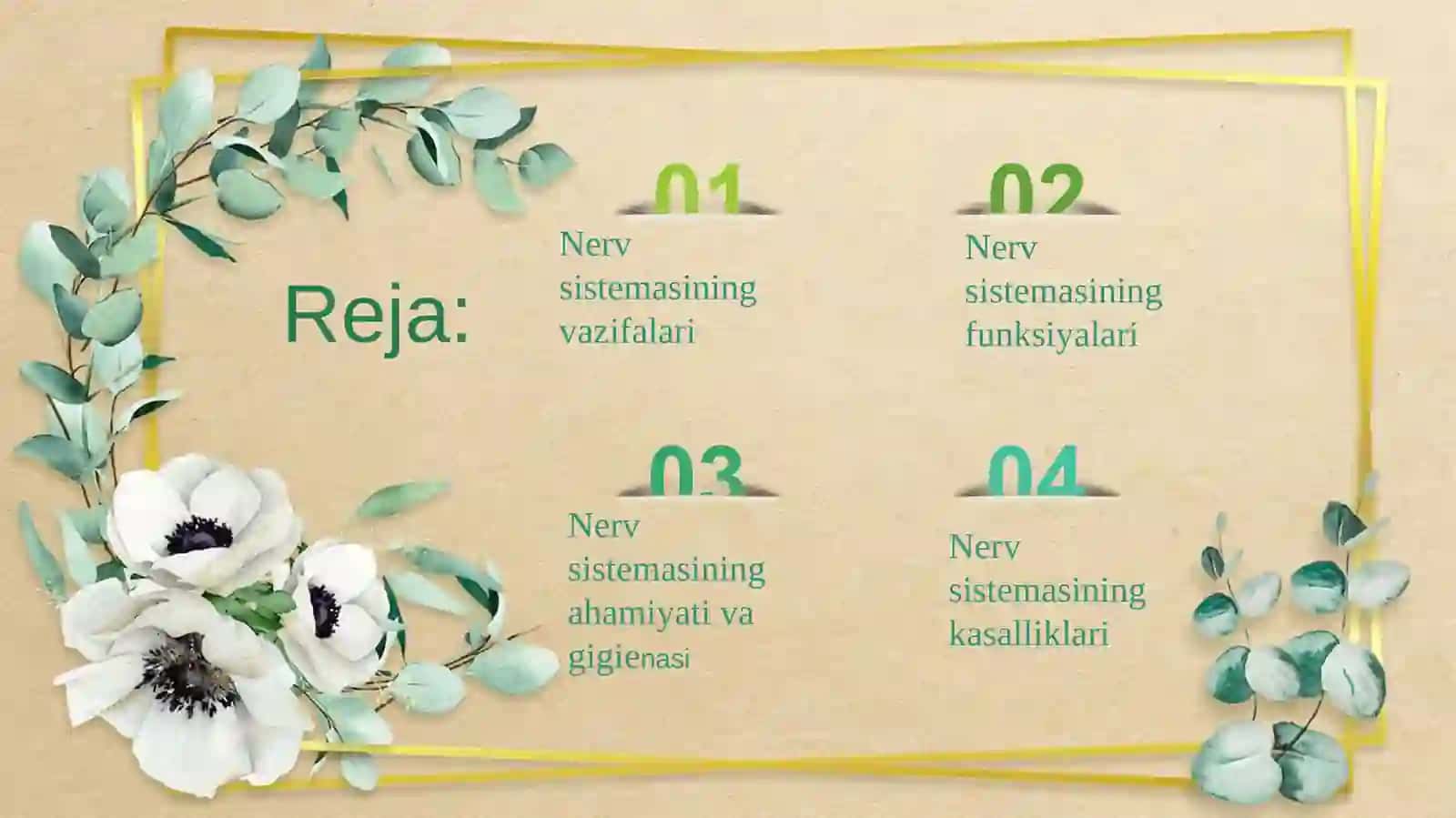 Nerv sistemasining tuzilishi 2