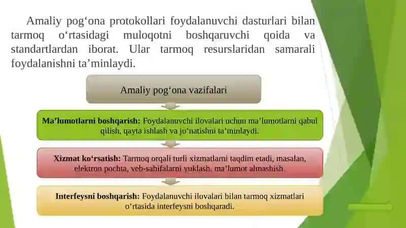 Amaliypogʻonaprotokollarivaxizmatlari 2