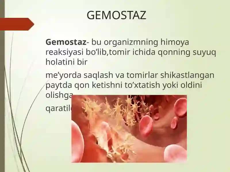 Gemostaz 2