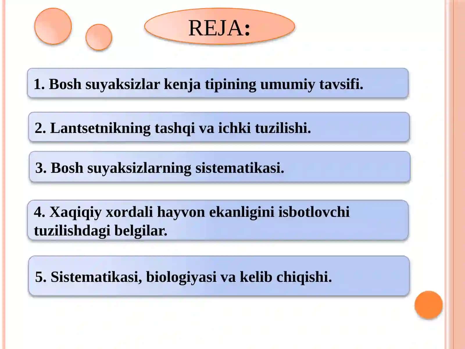 Boshsuyaksizlarkenjatipi.Vakillariningasosiybelgilari,sistematikasivakelibchiqishi 2