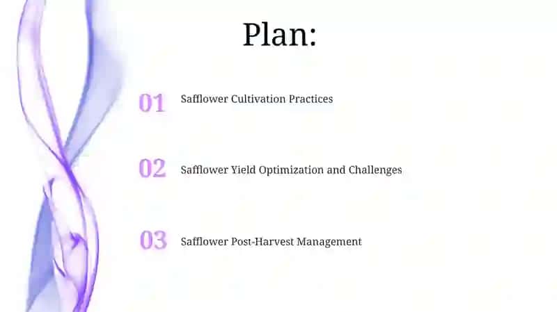 Safflower Post-Harvest Management 2