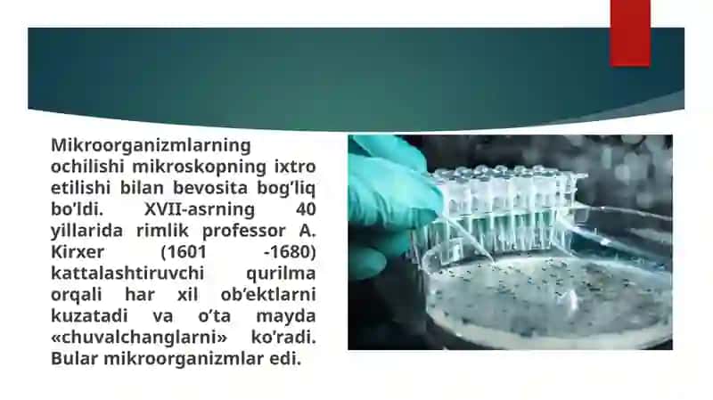 Mikroorganizmlarning zamonaviy sistematikasi 2