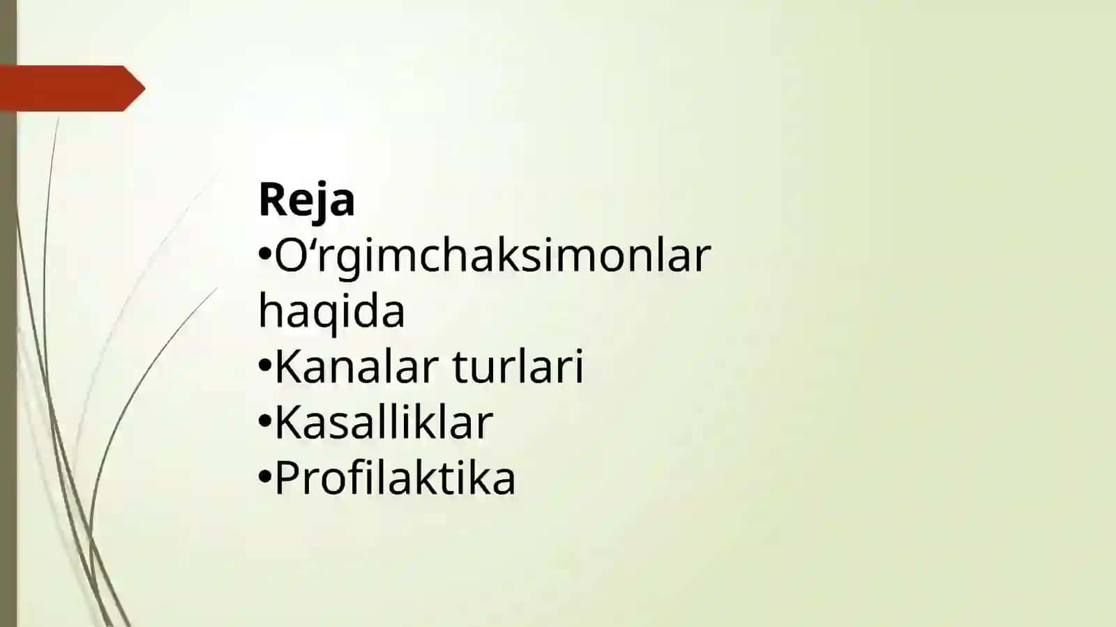 Tibbiyotda ahamiyatga ega bo'lgan o'rgimchaksimonlar, qishloq, tayga, qichima va it kanalari 2