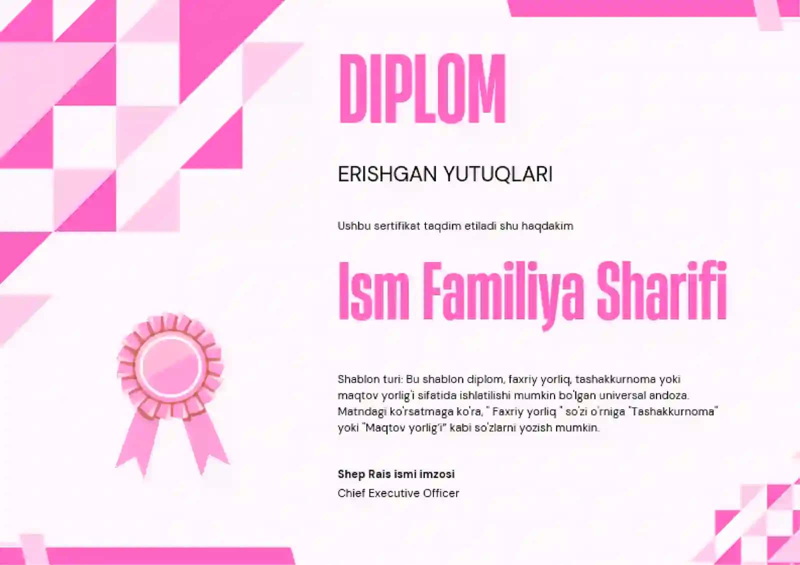DIPLOM 2