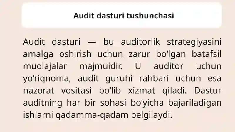 Auditorlik tekshiruvi ishchi dasturi 2